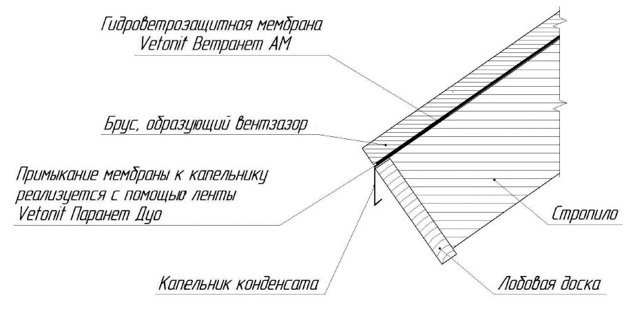 img14.jpg