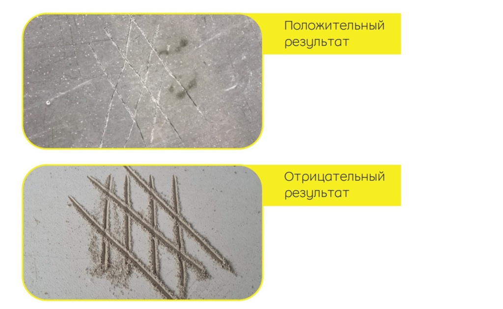 scale_2400 (1).jpg